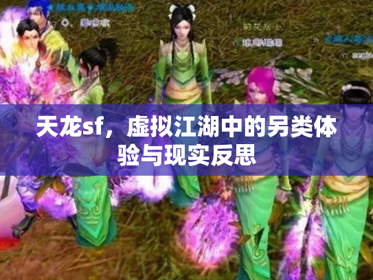 天龙sf，虚拟江湖中的另类体验与现实反思