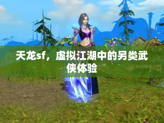 天龙sf，虚拟江湖中的另类武侠体验