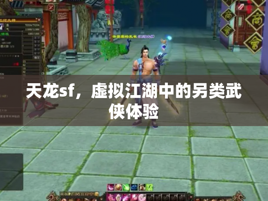 天龙sf，虚拟江湖中的另类武侠体验