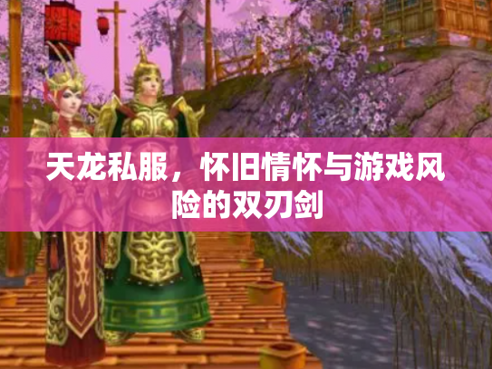 天龙私服，怀旧情怀与游戏风险的双刃剑