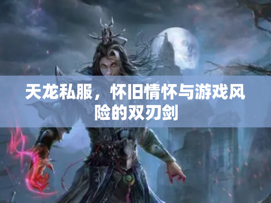 天龙私服，怀旧情怀与游戏风险的双刃剑