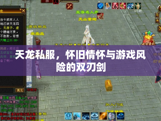天龙私服，怀旧情怀与游戏风险的双刃剑
