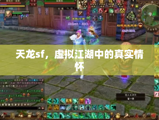 天龙sf，虚拟江湖中的真实情怀
