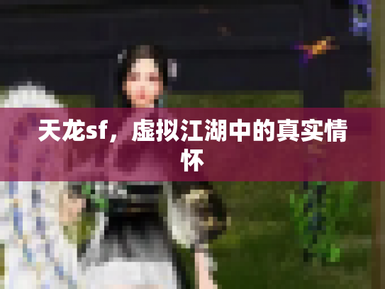 天龙sf，虚拟江湖中的真实情怀