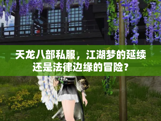 天龙八部私服，江湖梦的延续还是法律边缘的冒险？
