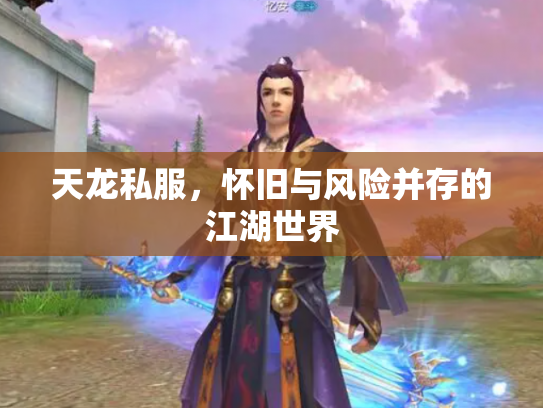 天龙私服，怀旧与风险并存的江湖世界