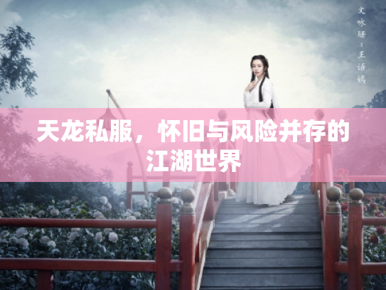 天龙私服，怀旧与风险并存的江湖世界