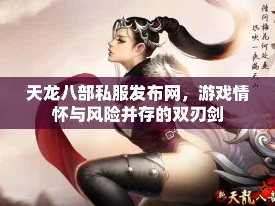 天龙八部私服发布网，游戏情怀与风险并存的双刃剑