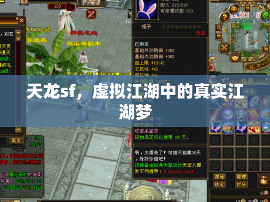 天龙sf，虚拟江湖中的真实江湖梦