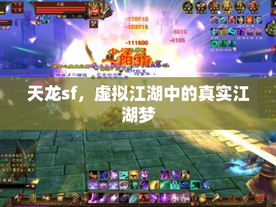 天龙sf，虚拟江湖中的真实江湖梦