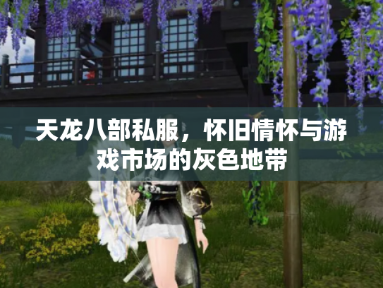 天龙八部私服，怀旧情怀与游戏市场的灰色地带