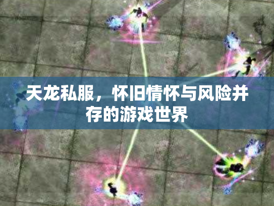 天龙私服，怀旧情怀与风险并存的游戏世界