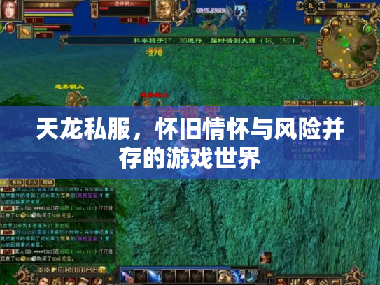 天龙私服，怀旧情怀与风险并存的游戏世界