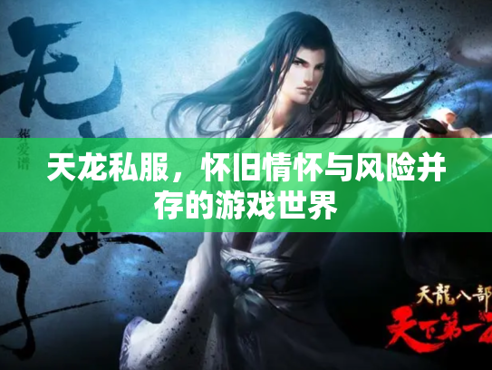 天龙私服，怀旧情怀与风险并存的游戏世界