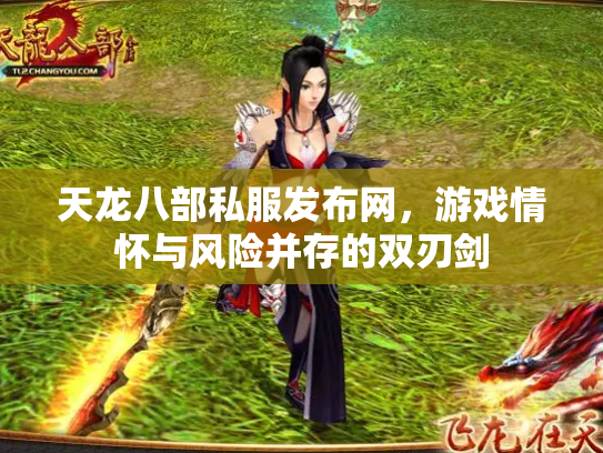 天龙八部私服发布网，游戏情怀与风险并存的双刃剑
