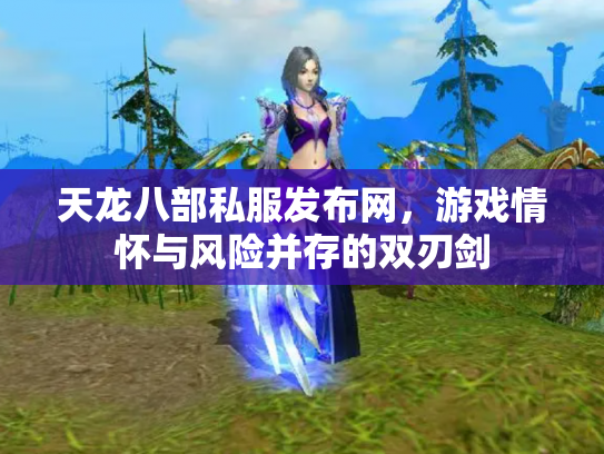 天龙八部私服发布网，游戏情怀与风险并存的双刃剑