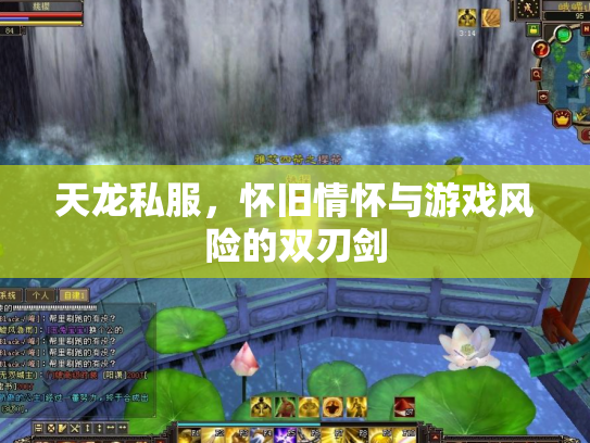 天龙私服，怀旧情怀与游戏风险的双刃剑
