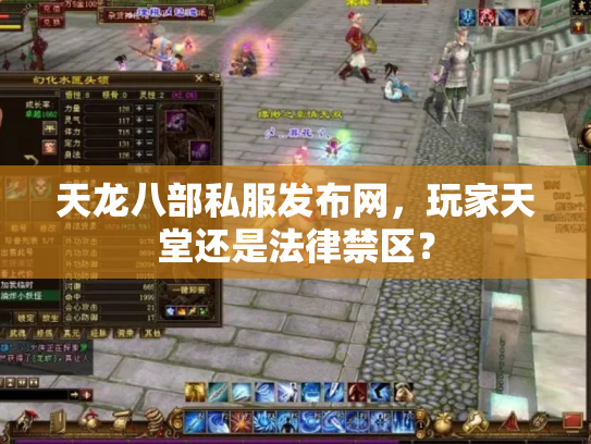 天龙八部私服发布网，玩家天堂还是法律禁区？