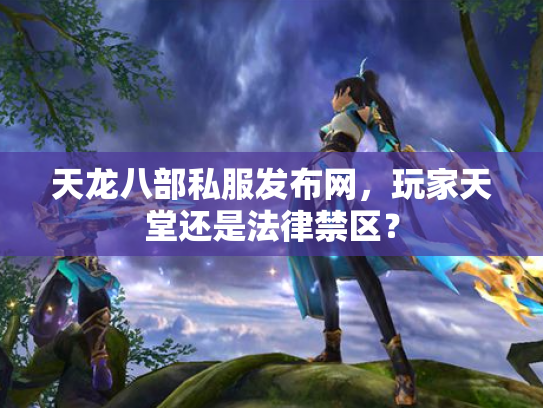 天龙八部私服发布网，玩家天堂还是法律禁区？