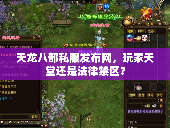 天龙八部私服发布网，玩家天堂还是法律禁区？