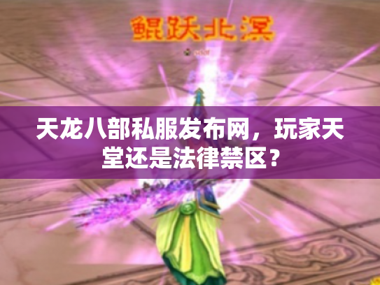 天龙八部私服发布网，玩家天堂还是法律禁区？