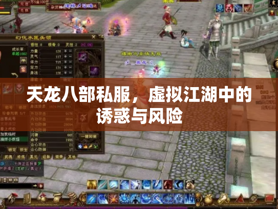 天龙八部私服，虚拟江湖中的诱惑与风险