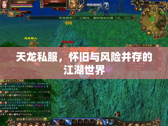 天龙私服，怀旧与风险并存的江湖世界
