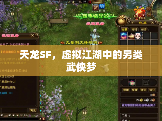 天龙SF，虚拟江湖中的另类武侠梦