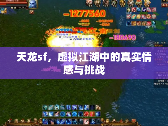 天龙sf，虚拟江湖中的真实情感与挑战