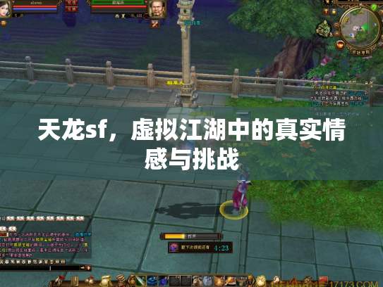 天龙sf，虚拟江湖中的真实情感与挑战