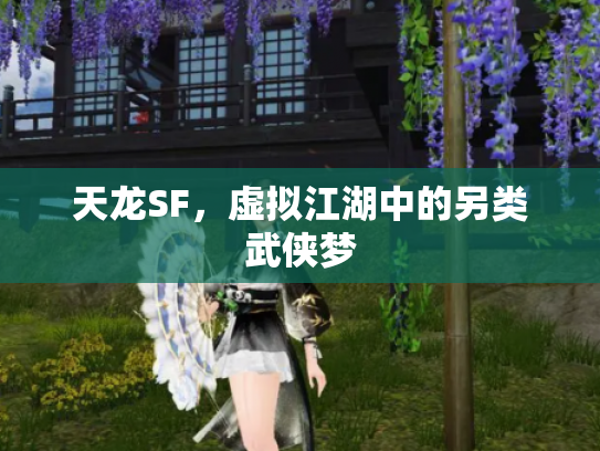 天龙SF，虚拟江湖中的另类武侠梦