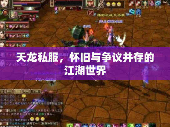 天龙私服，怀旧与争议并存的江湖世界
