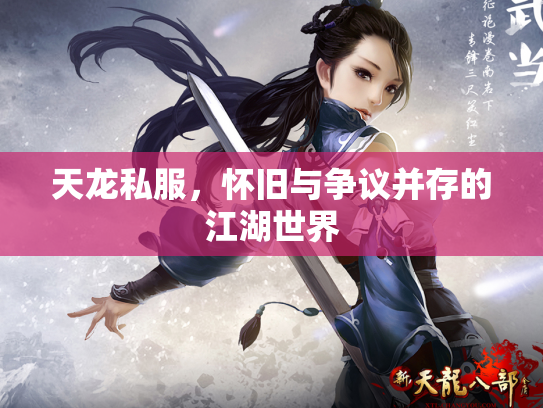 天龙私服，怀旧与争议并存的江湖世界