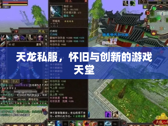 天龙私服，怀旧与创新的游戏天堂