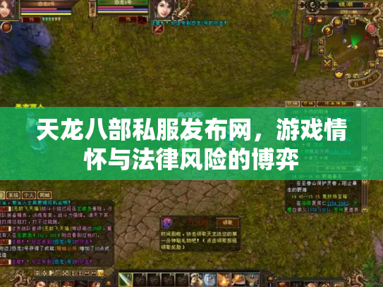 天龙八部私服发布网，游戏情怀与法律风险的博弈