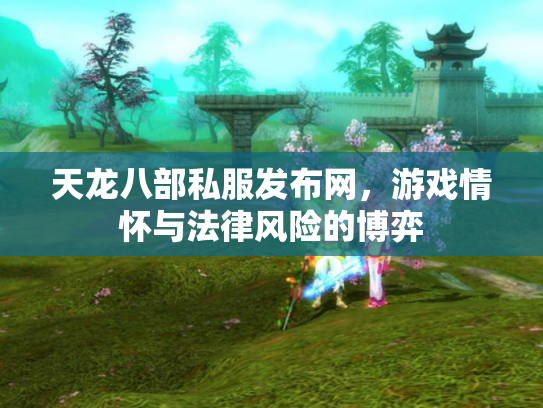 天龙八部私服发布网，游戏情怀与法律风险的博弈