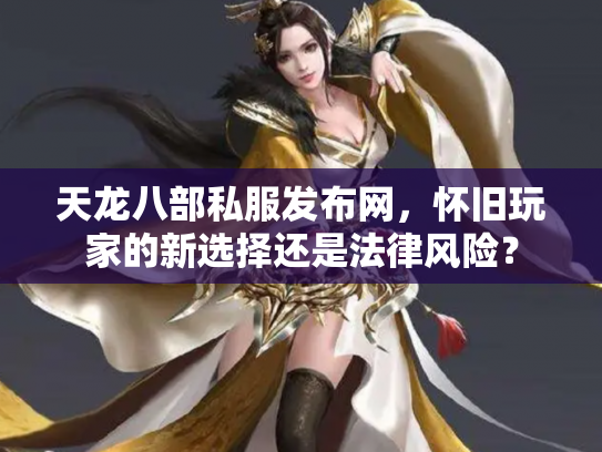 天龙八部私服发布网，怀旧玩家的新选择还是法律风险？