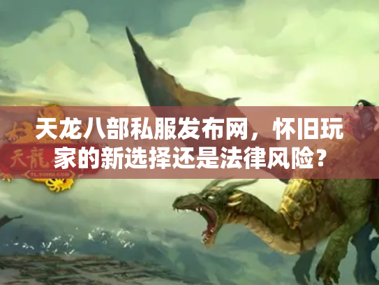 天龙八部私服发布网，怀旧玩家的新选择还是法律风险？