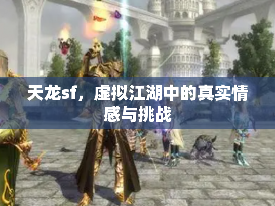 天龙sf，虚拟江湖中的真实情感与挑战