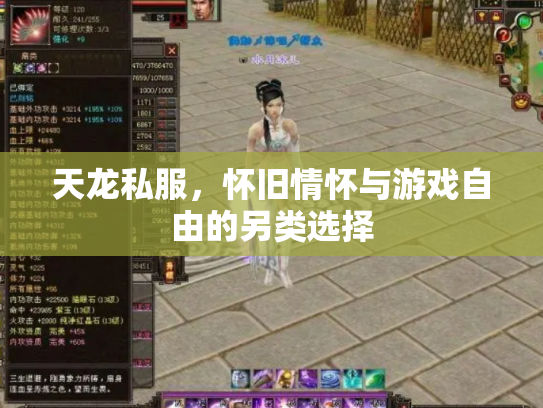 天龙私服，怀旧情怀与游戏自由的另类选择