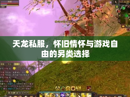天龙私服，怀旧情怀与游戏自由的另类选择