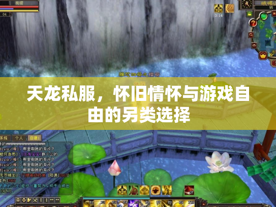 天龙私服，怀旧情怀与游戏自由的另类选择