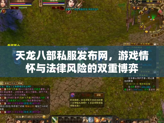 天龙八部私服发布网，游戏情怀与法律风险的双重博弈