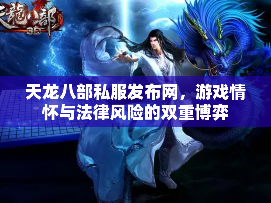 天龙八部私服发布网，游戏情怀与法律风险的双重博弈