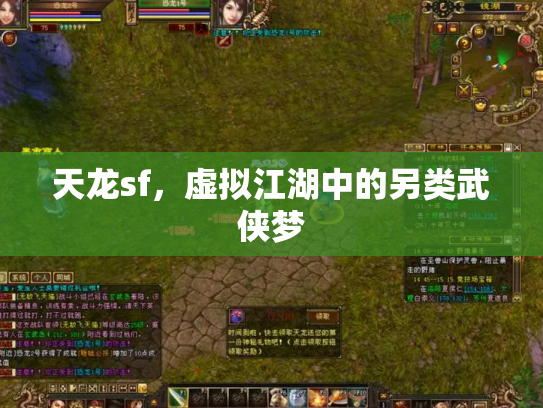 天龙sf，虚拟江湖中的另类武侠梦