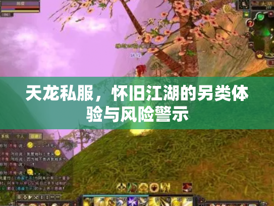 天龙私服，怀旧江湖的另类体验与风险警示