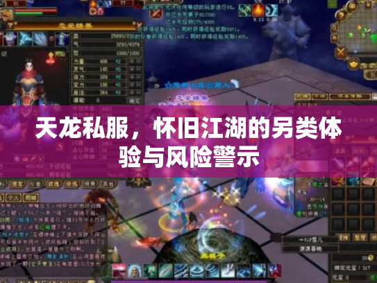 天龙私服，怀旧江湖的另类体验与风险警示