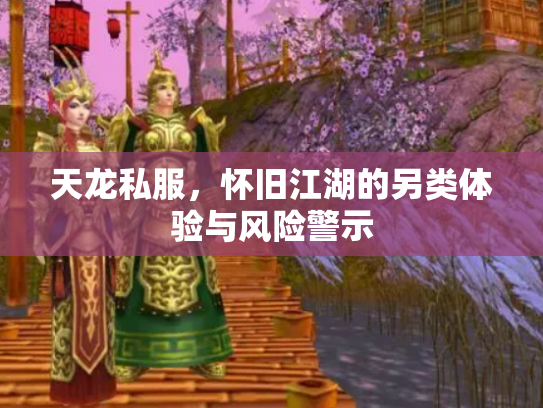 天龙私服，怀旧江湖的另类体验与风险警示