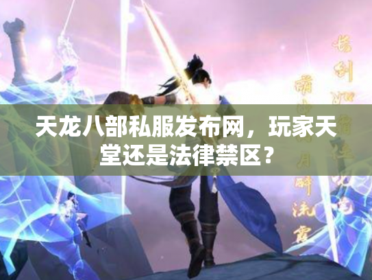 天龙八部私服发布网，玩家天堂还是法律禁区？