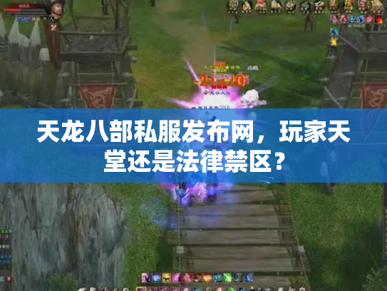 天龙八部私服发布网，玩家天堂还是法律禁区？
